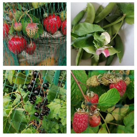 No 12 3* Dungarvan (Waterford)