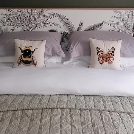 No 12 3* דנגרבן