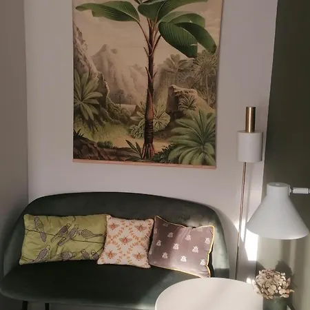 No 12 فندق مبيت وإفطار 3*
