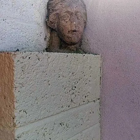 No 12 3* دونغارفان